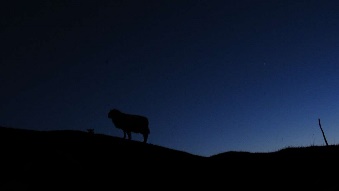 go to the publishers website